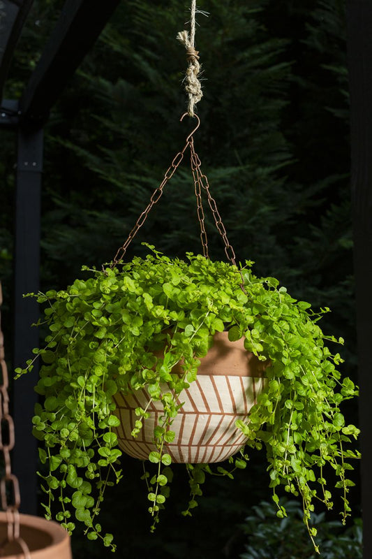 Severn Hanging Pot - Wide