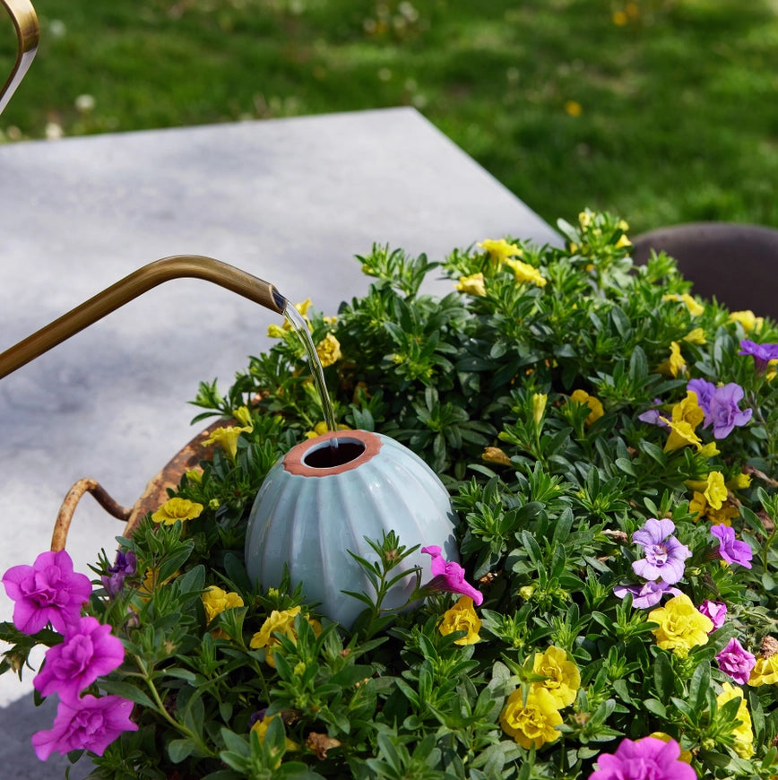 Terracotta Watering Bulb - Sage