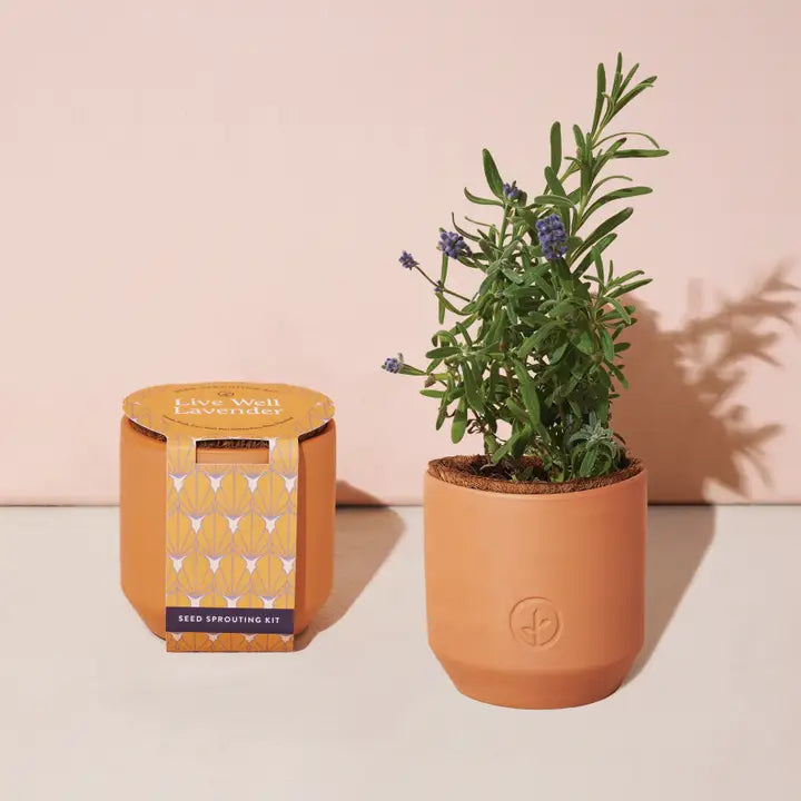 Tiny Terracotta Kit - Live Well Lavender