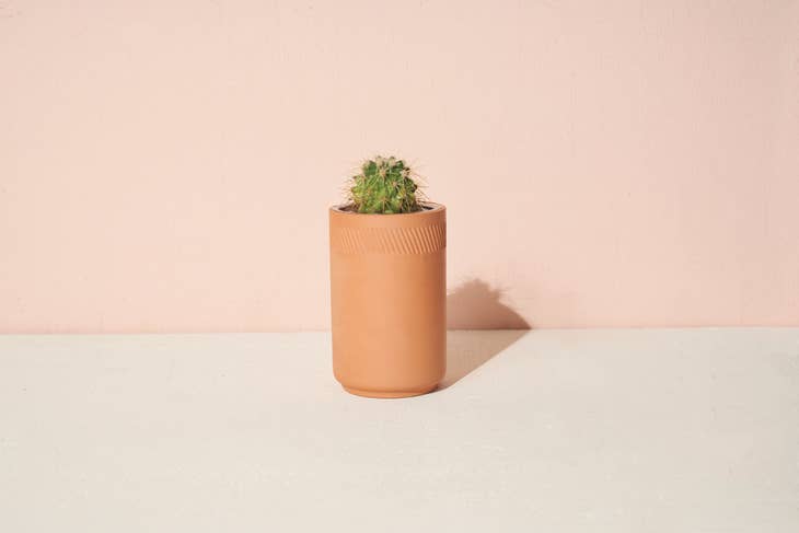 Terracotta Grow Kit - Cactus