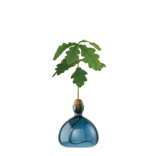 Acorn Vase - Blue Jay