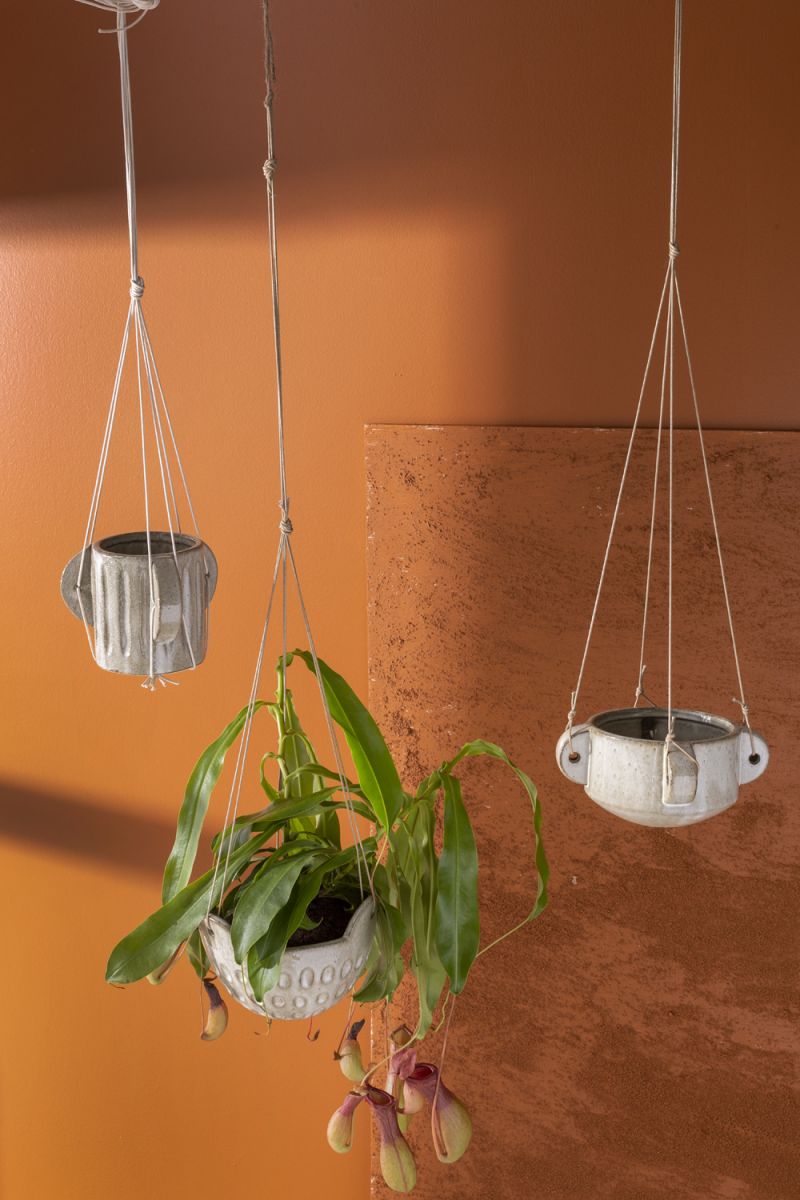 Cromwell Hanging Pot - 7 inch