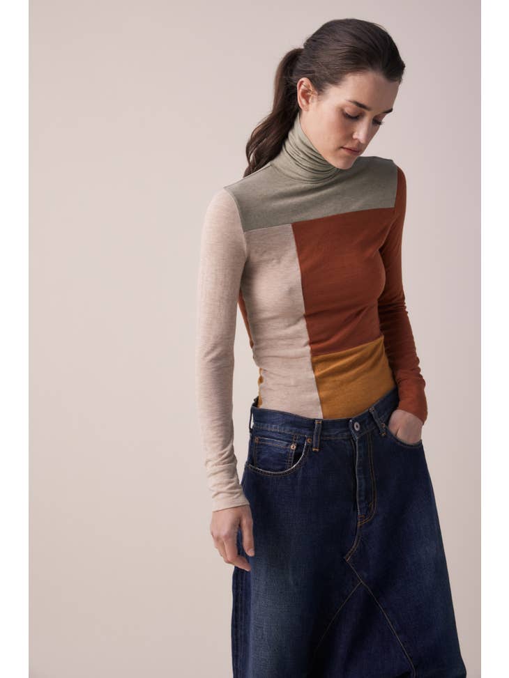 Color Block Turtleneck