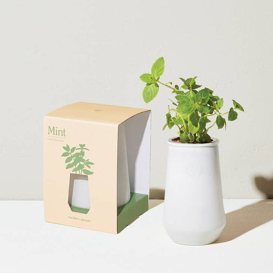 Tapered Tumbler Grow Kit - Mint - Final Sale