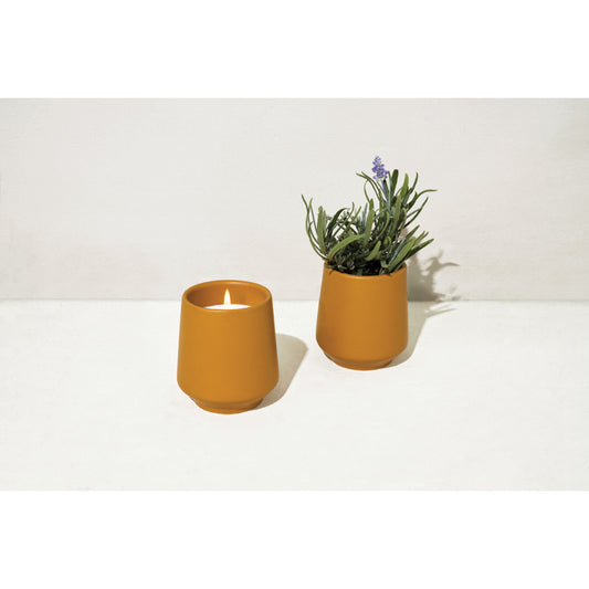 Rooted Candle - Lavender & Neroli