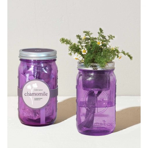 Garden Jar - Chamomile