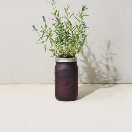 Garden Jar - Lavender