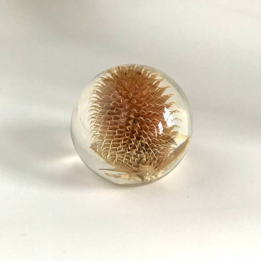 Botanical Resin Large Thistle Paperweight