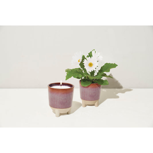 Glow & Grow Candle - Wildflower Fields