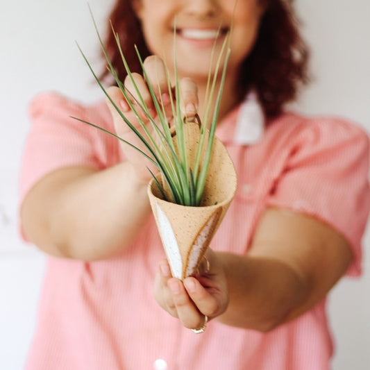 Medium Cone Planter - Sand