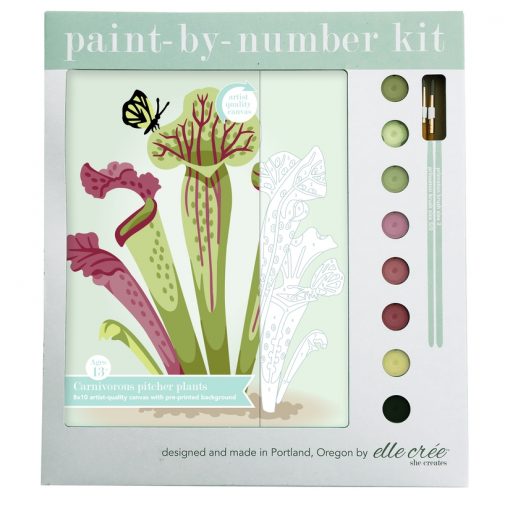 Paint by Number Kit - Pitcher Plan