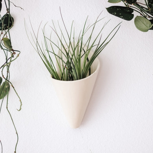 Large Cone Planter - Ivory