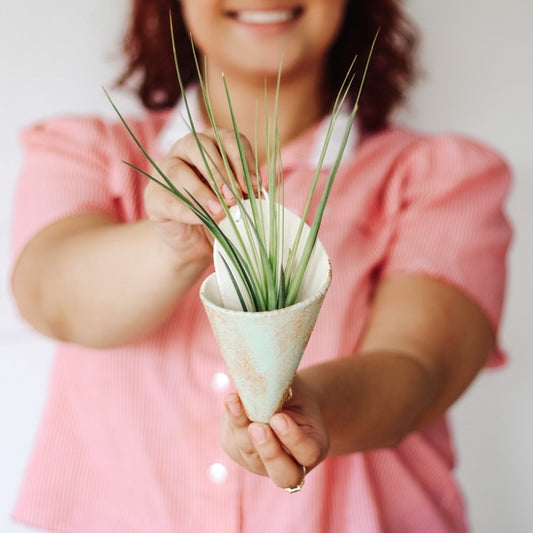 Medium Cone Planter - Pistachio