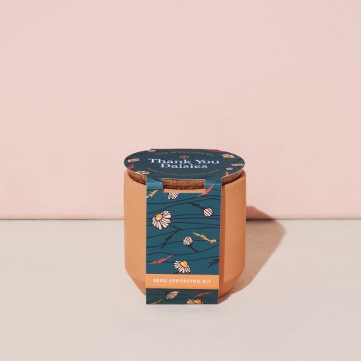 Tiny Terracotta Kit - Thank You Daisies