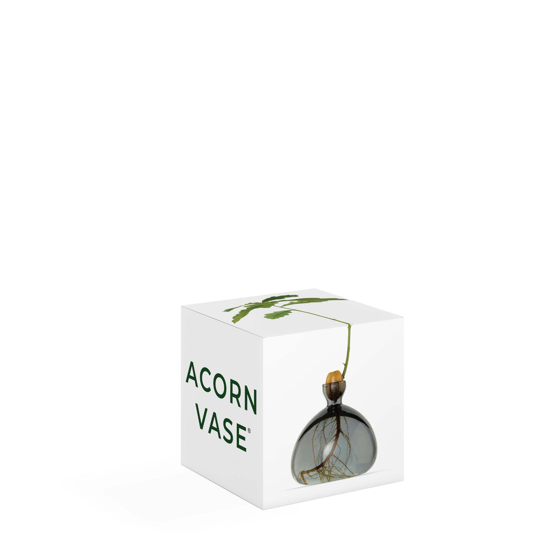 Acorn Vase - Smoke Grey