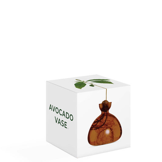 Avocado Vase - Russet Brown