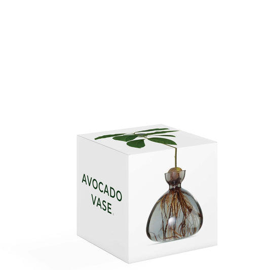 Avocado Vase - Smoke Grey