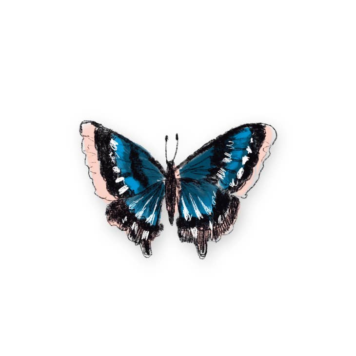 Butterfly Single Sticker