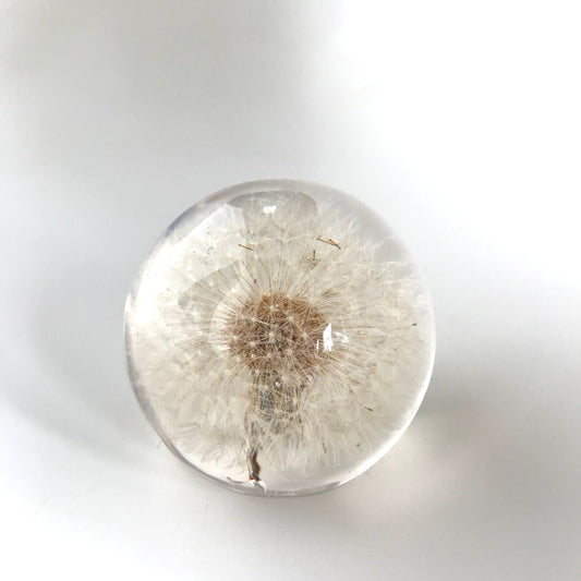 Botanical Resin Large Dandelion Paperweight