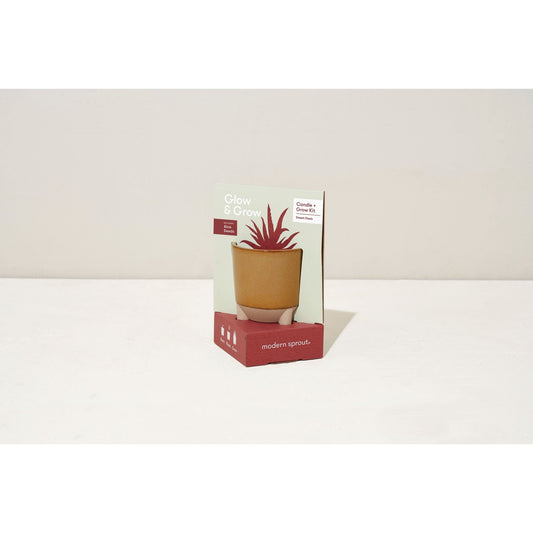 Glow & Grow Candle - Desert Oasis