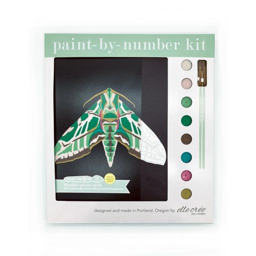 Paint by Number Kit - Moth