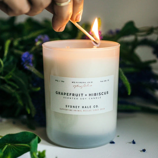 Sydney Hale Candle - Grapefruit + Hibiscus